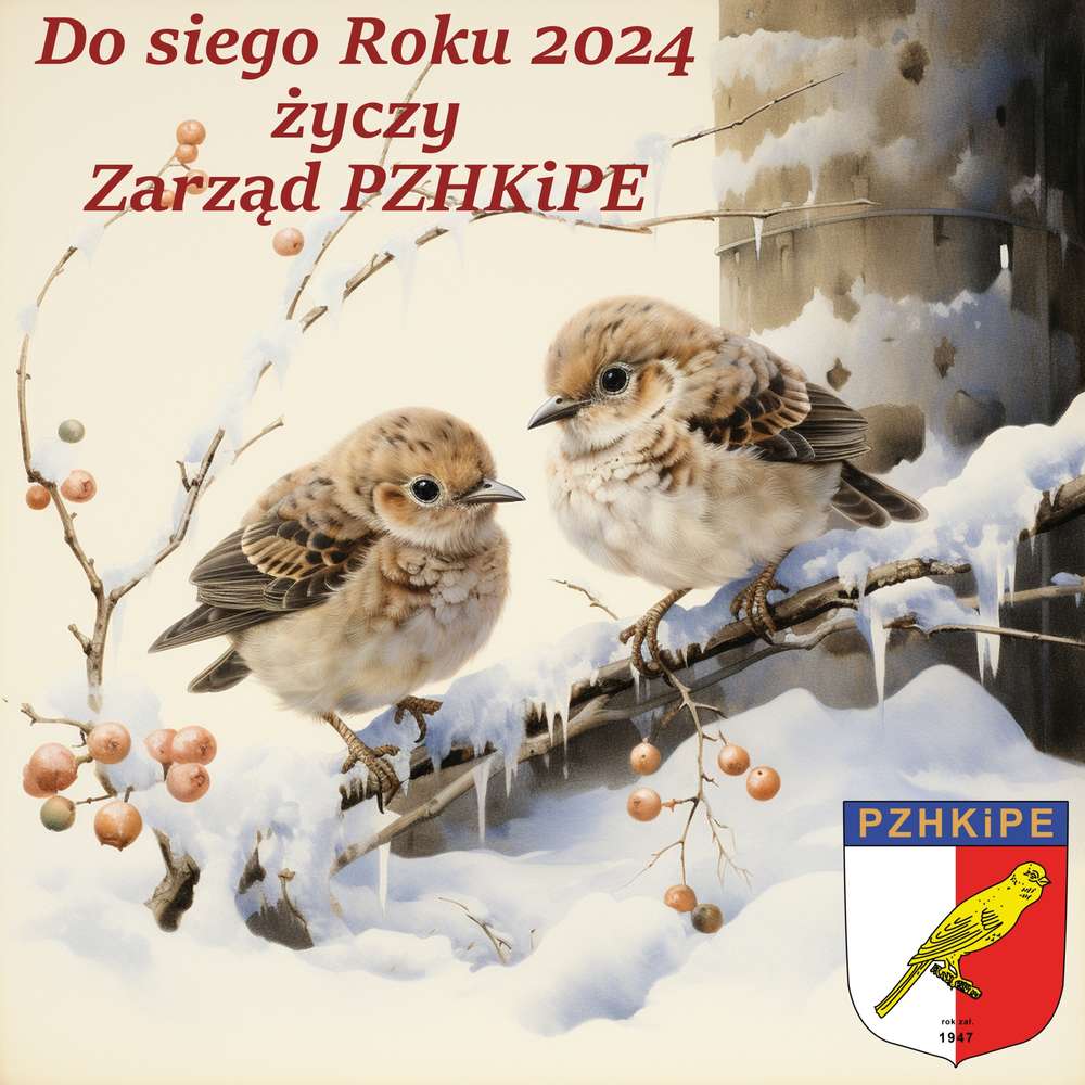 Nowy Rok 2024